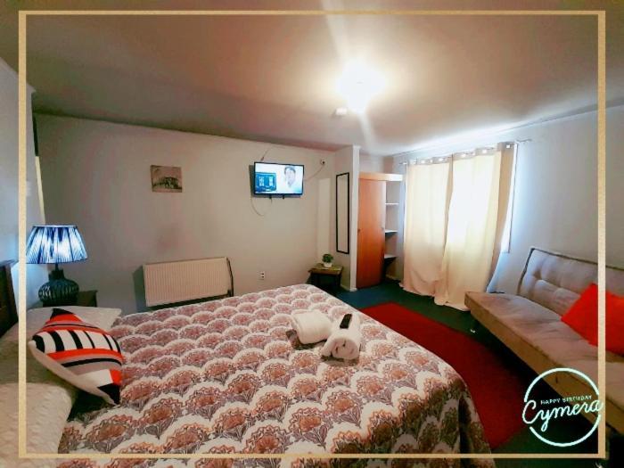 Patagonia Magica Apartment Punta Arenas Exterior photo